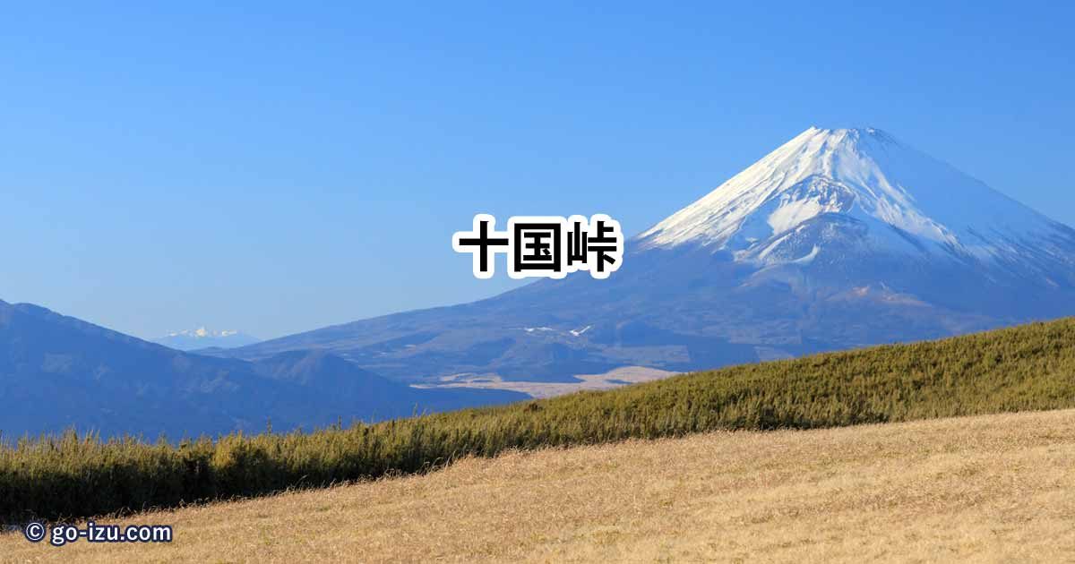 ト送料込 東山魁夷 十国峠の富士 - 通販 - esplar.com.br