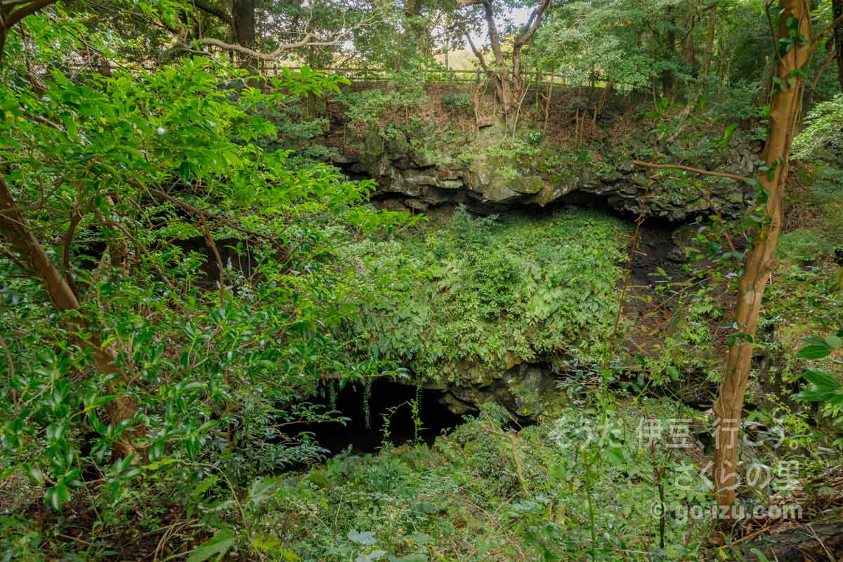 穴の原溶岩洞穴